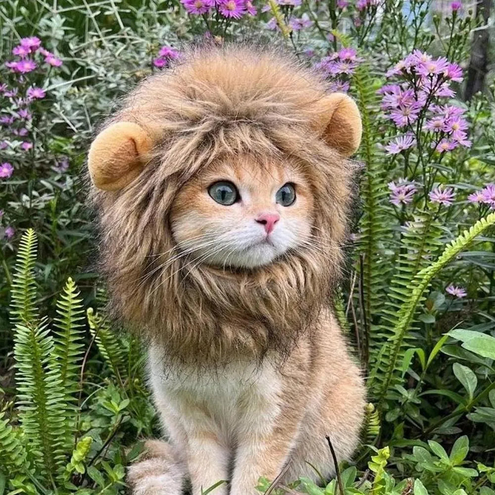 Lion mane pet costume wig on cat showing artificial hair texture and adjustable elastic band