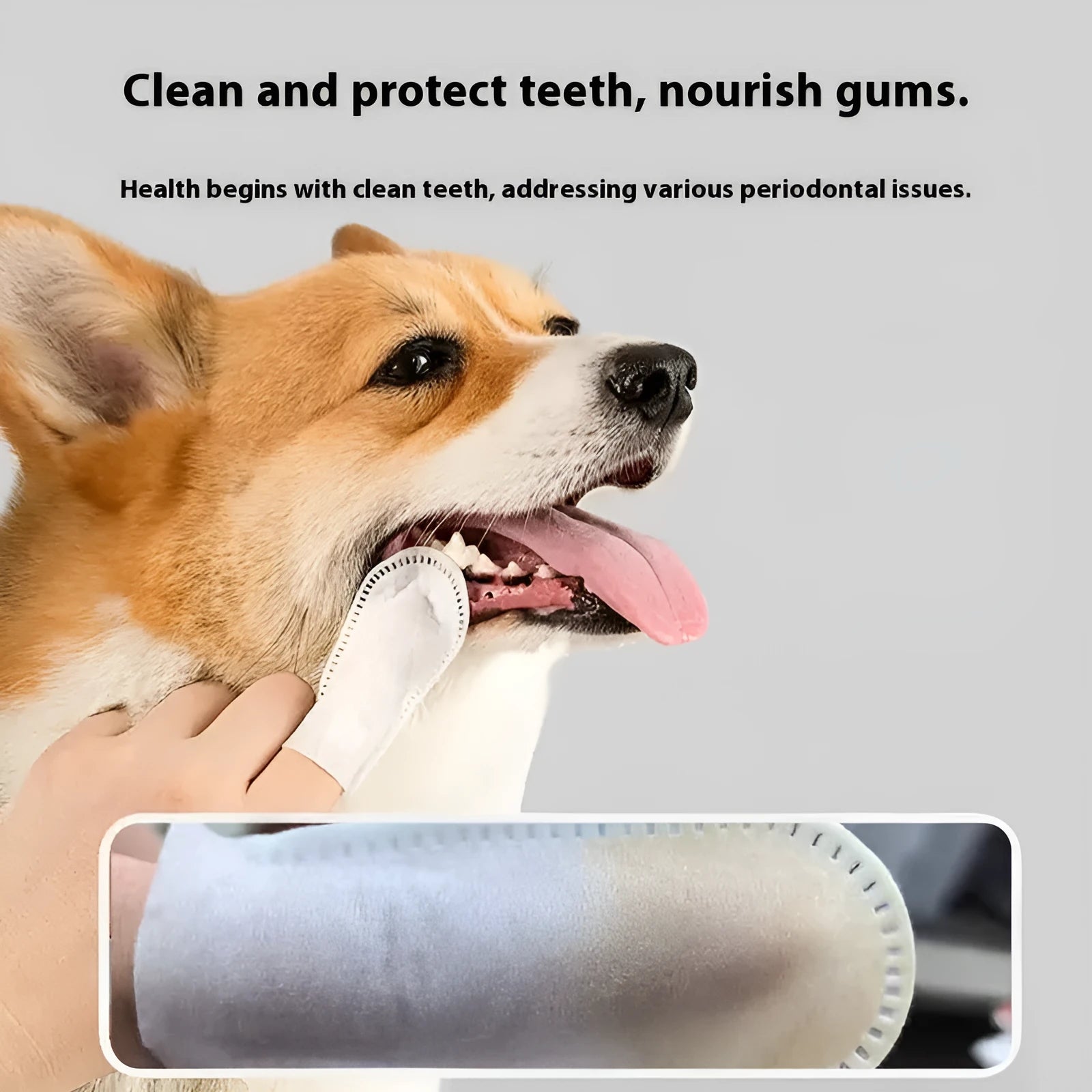50-piece set of white non-woven fabric pet dental cleaning finger cots for cats and dogs.