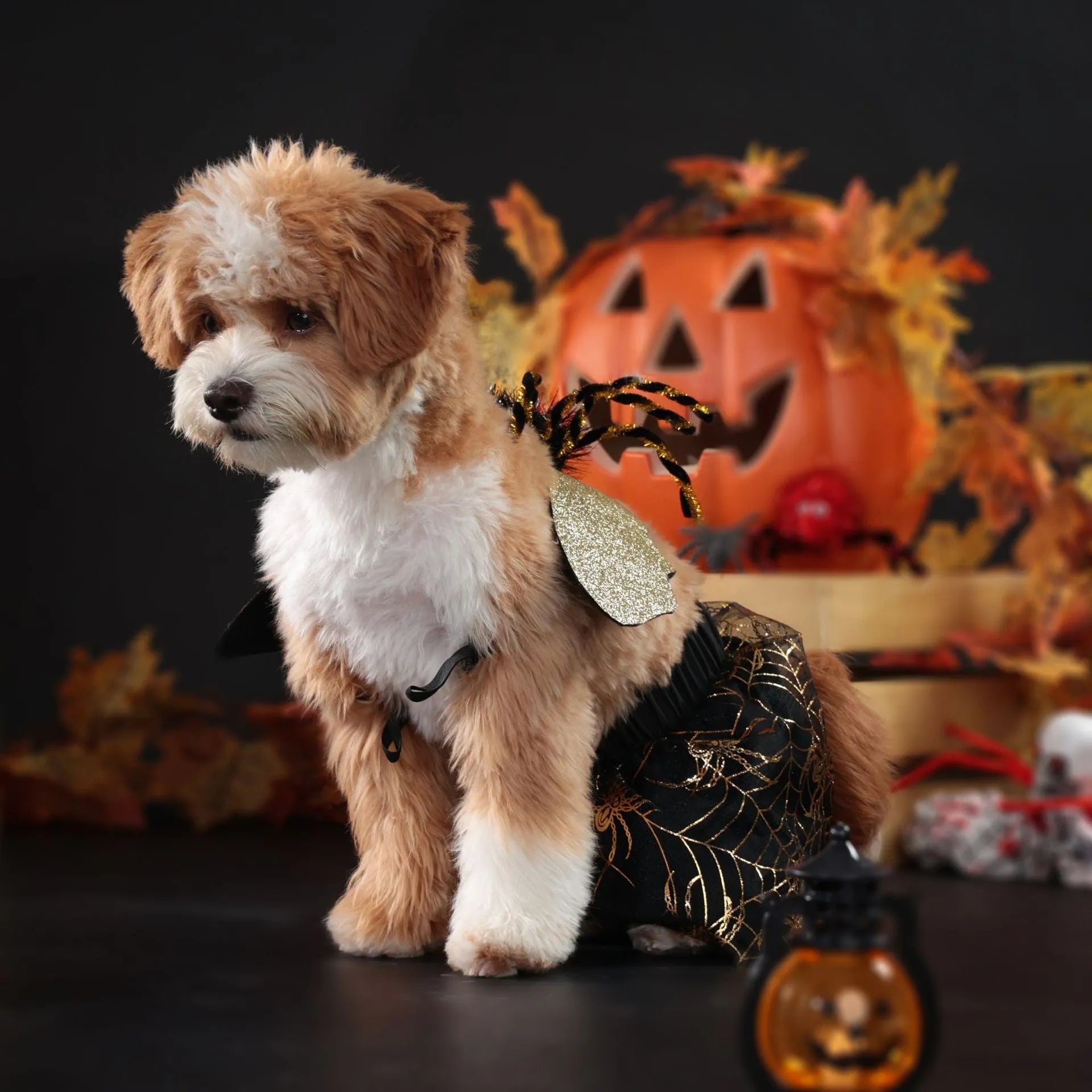 Polyester dog Halloween costume suit shown in suit colour, sizes S M L XL available.