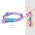 High elasticity polyester pet collar for small dogs in multiple colour options showing monochrome pattern