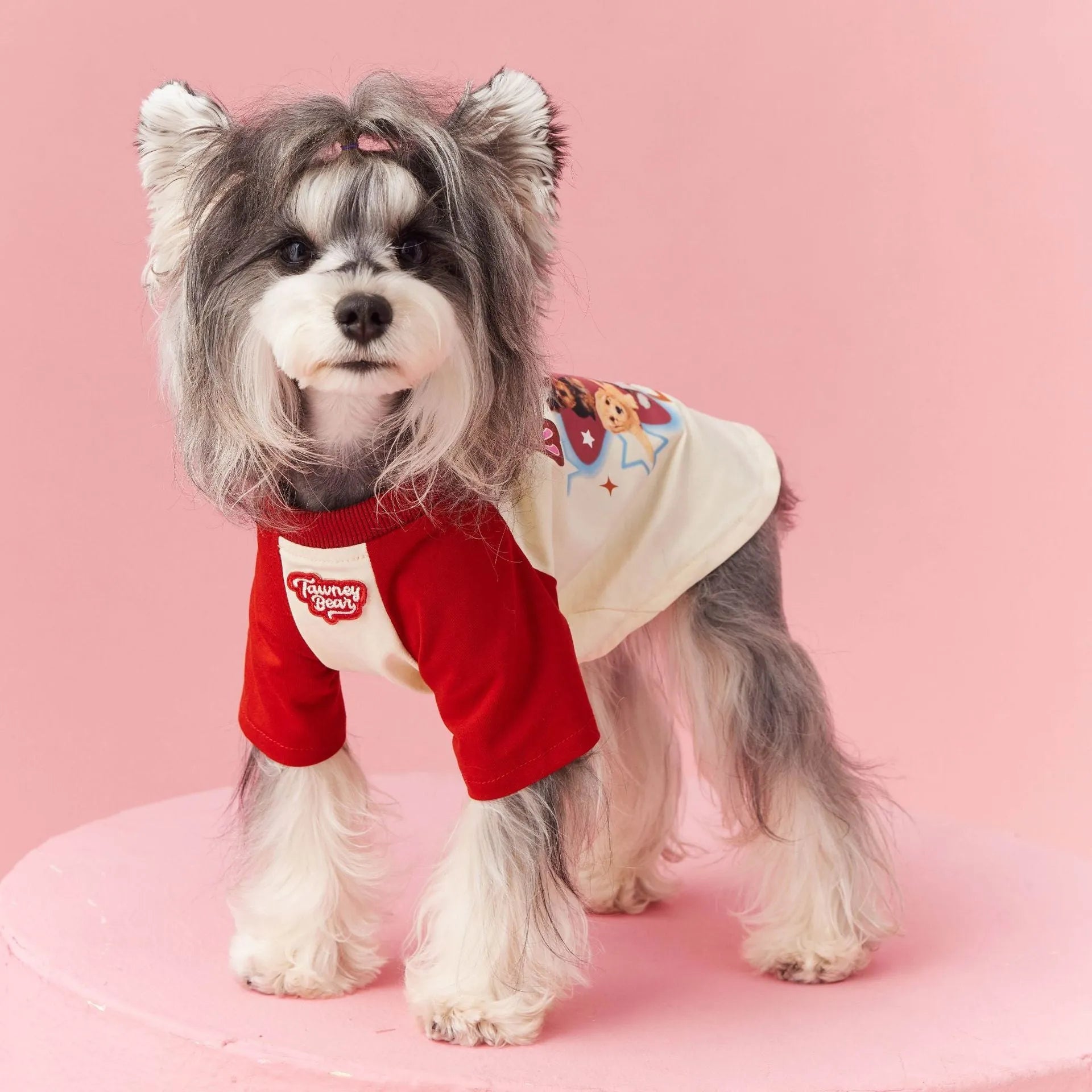 Cotton dog summer clothes in embroidered red or pink with contrast colour detailing