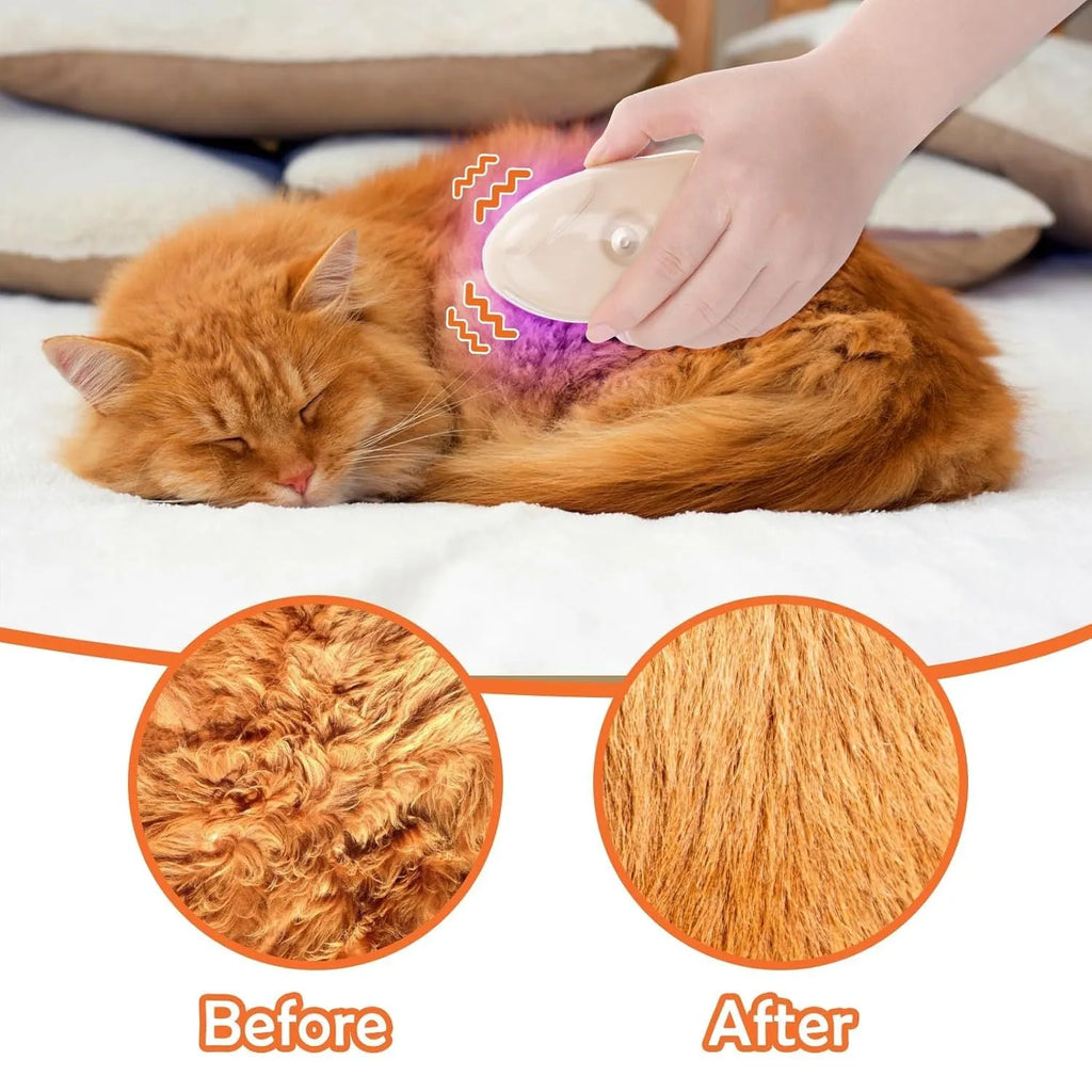 Yellow USB rechargeable 4-in-1 cat steam brush with soft silicone teeth, water tank, and ringworm detector lamp.