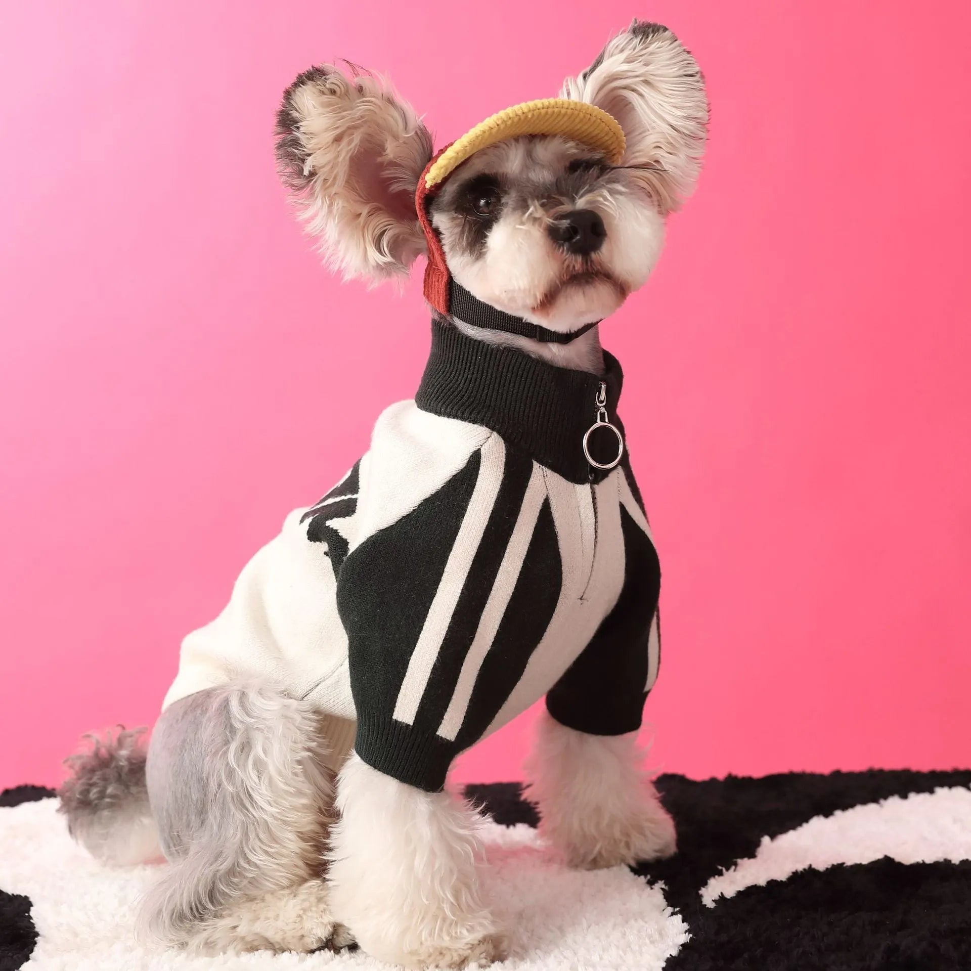 Red wool sports cardigan sweater for dogs on a pet mannequin showing casual pet clothing design