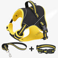 Orange polyester dog harness and lead set for medium-sized dogs during outdoor walk.