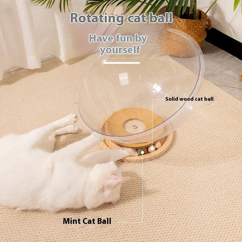 Transparent acrylic cat space capsule bathtub pet bed in multiple size options