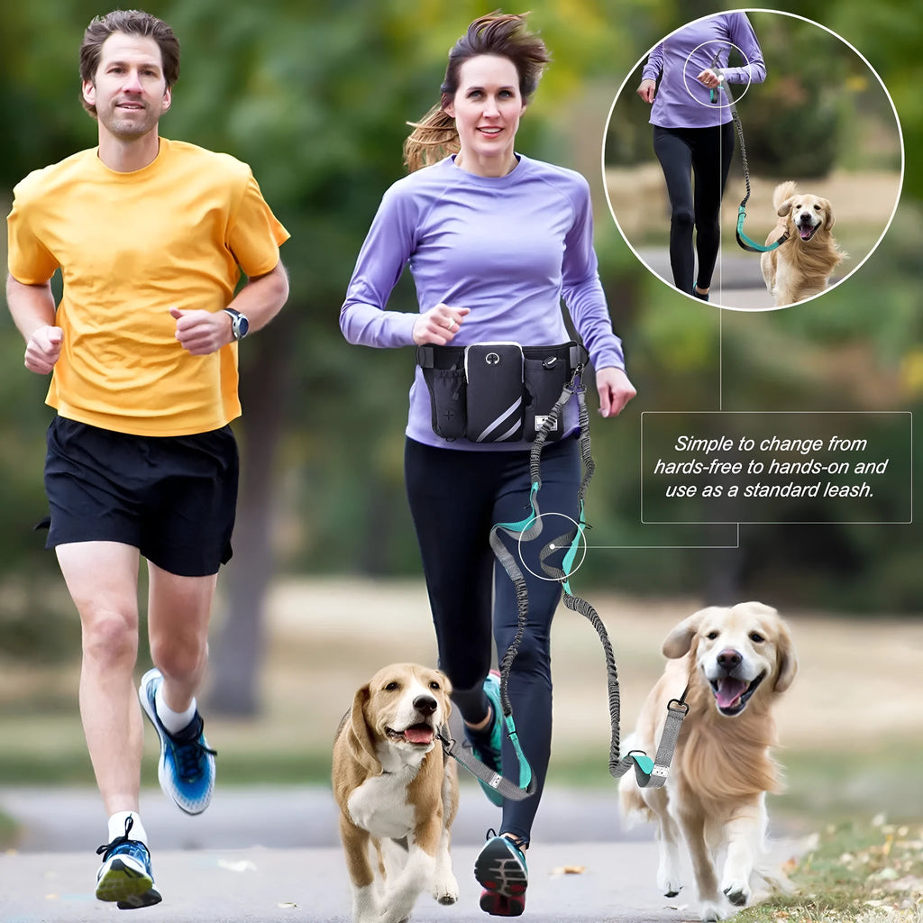 Black outdoor waist bag with dog leash and collar set for hands-free pet walking