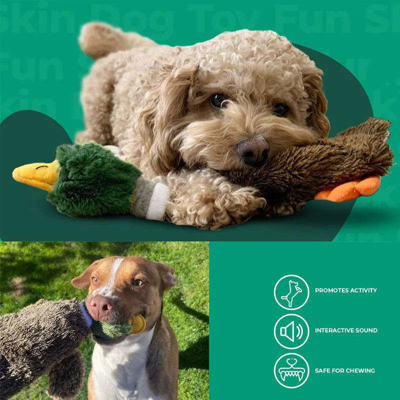 Green wild duck design stuffless squeaky dog toy with bottle insert cavity