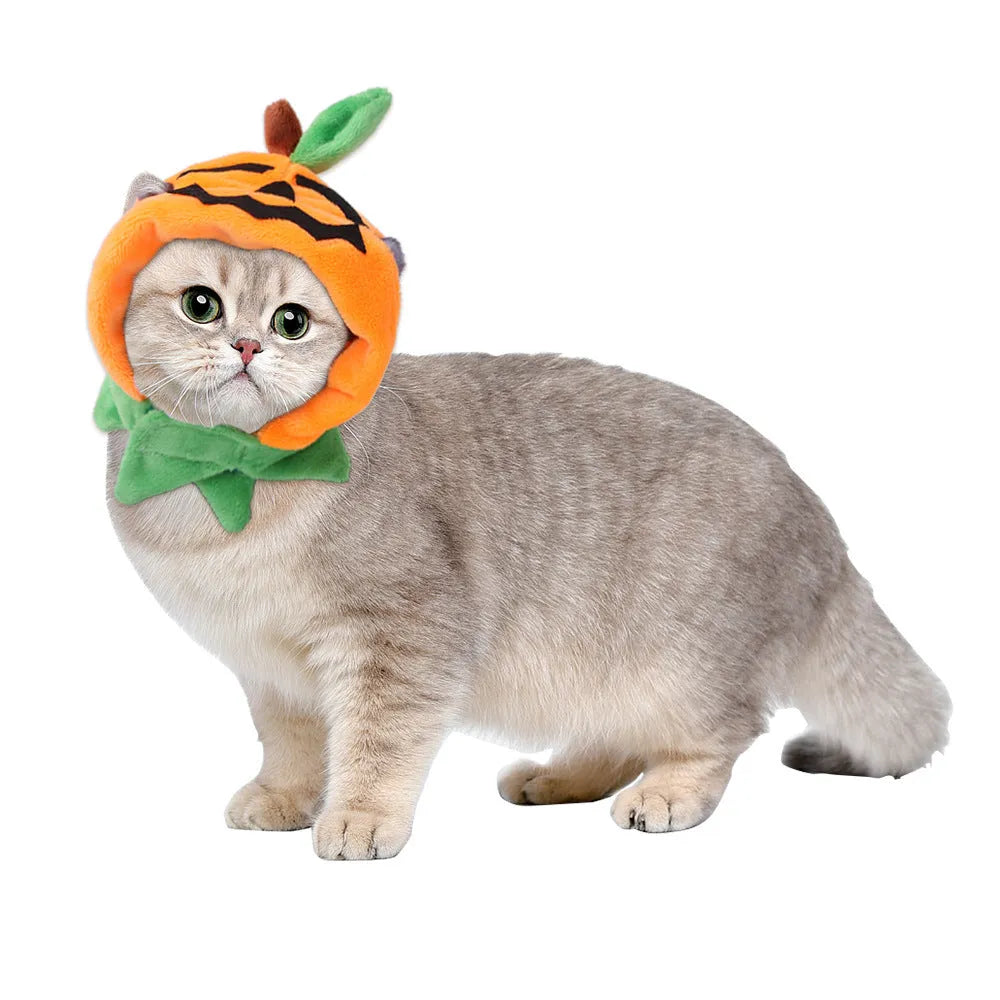 Reversible Halloween pumpkin dog cloak on pet with plush fabric in orange and black