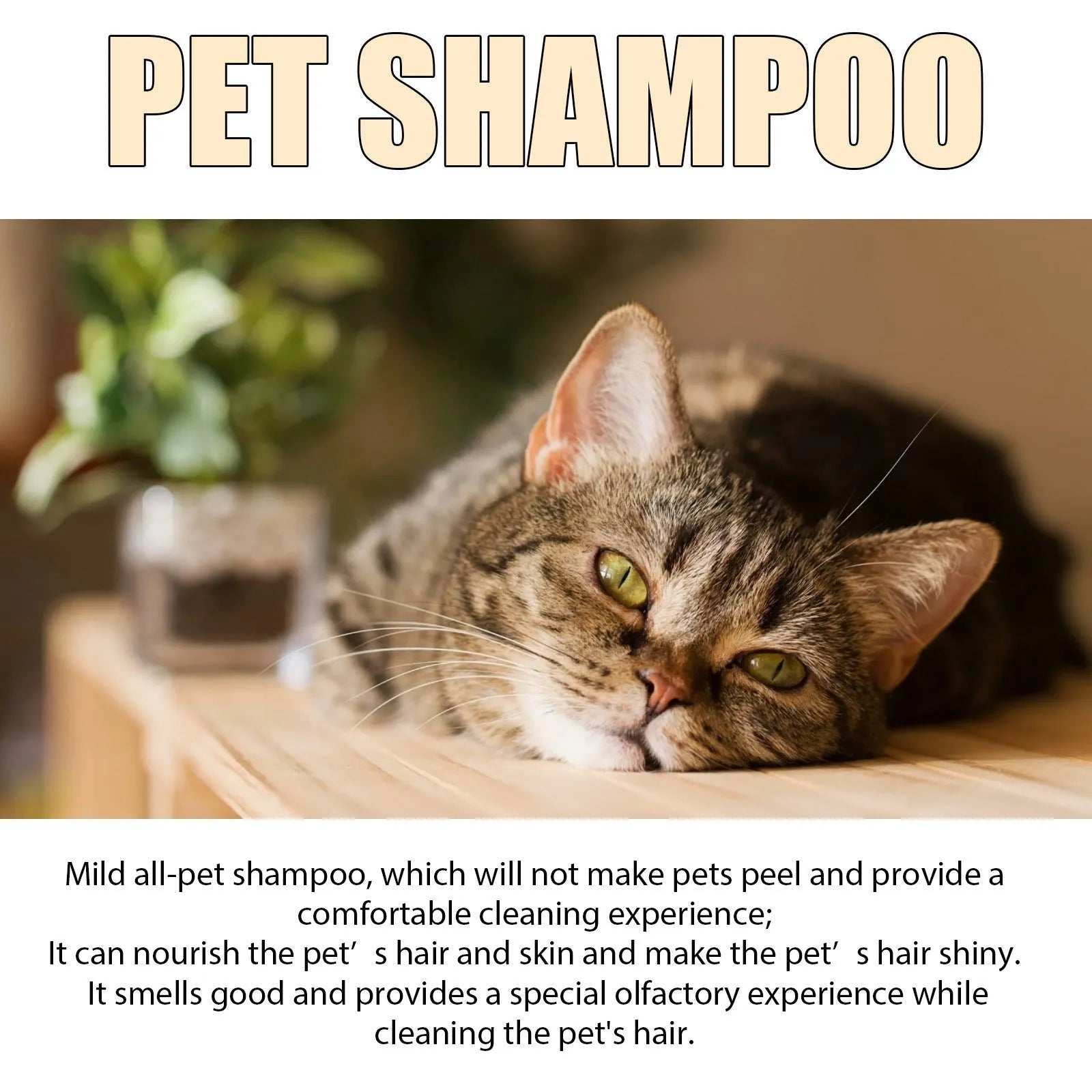 Bottle of mild pet shampoo for cats and dogs that softens fur and helps with knots