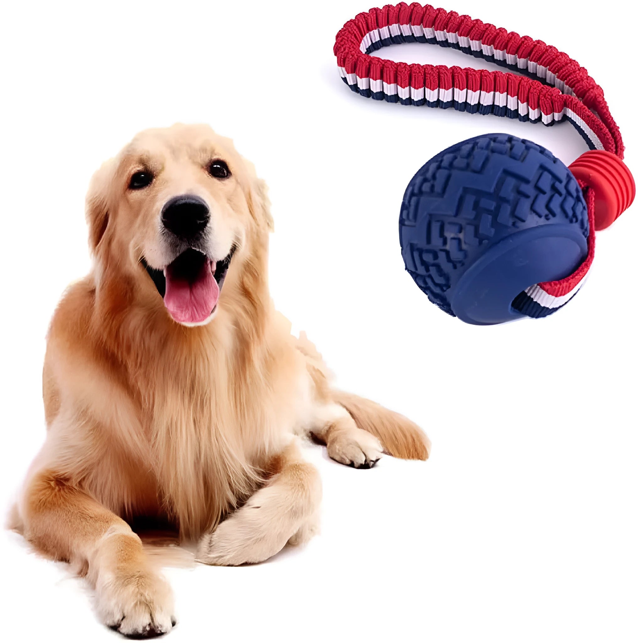 Blue dog ball with rope toy showing textured rubber surface and rope handle for tug-of-war games