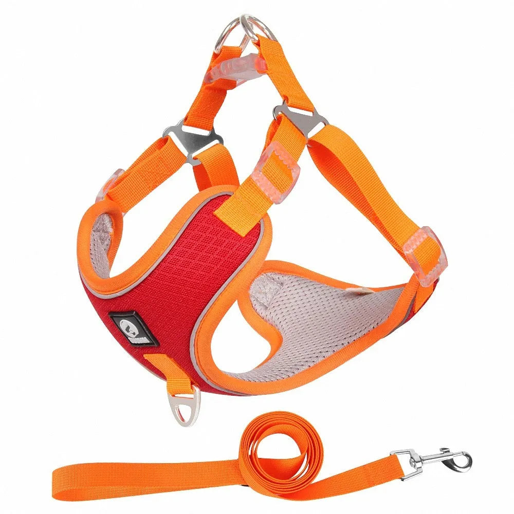 Adjustable dog harness with breathable mesh fabric and reflective piping in multiple colour options