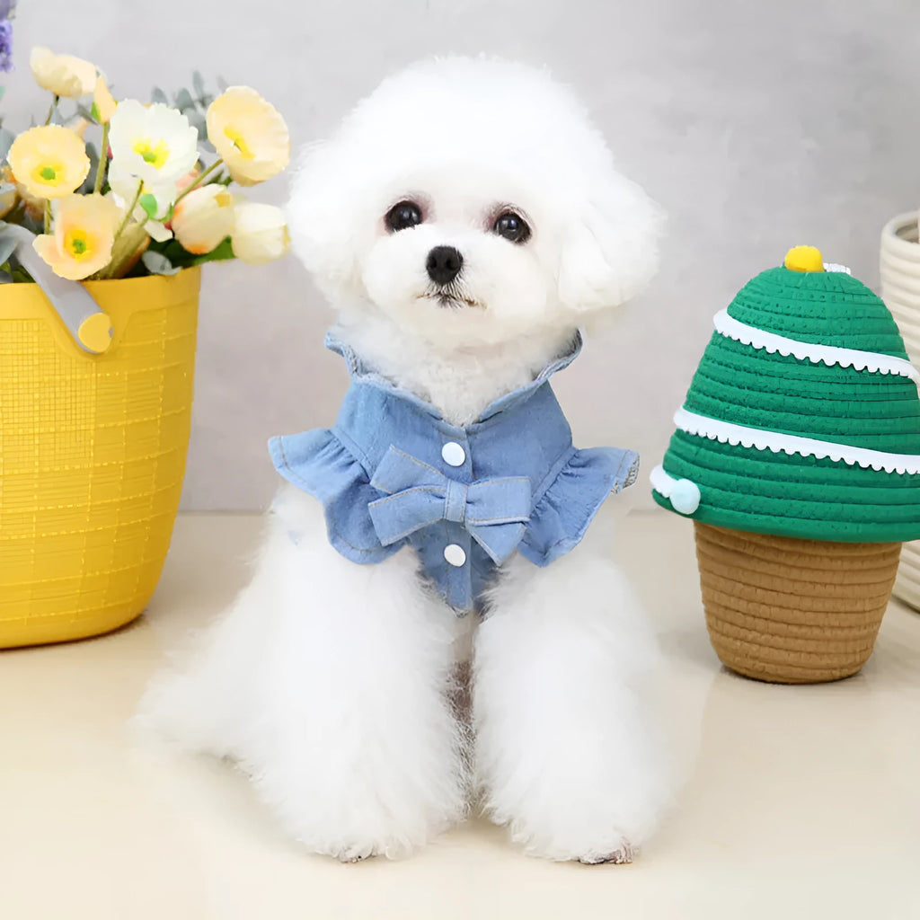 Blue denim dog dress vest with ruffles design and leash hooks on chest and back