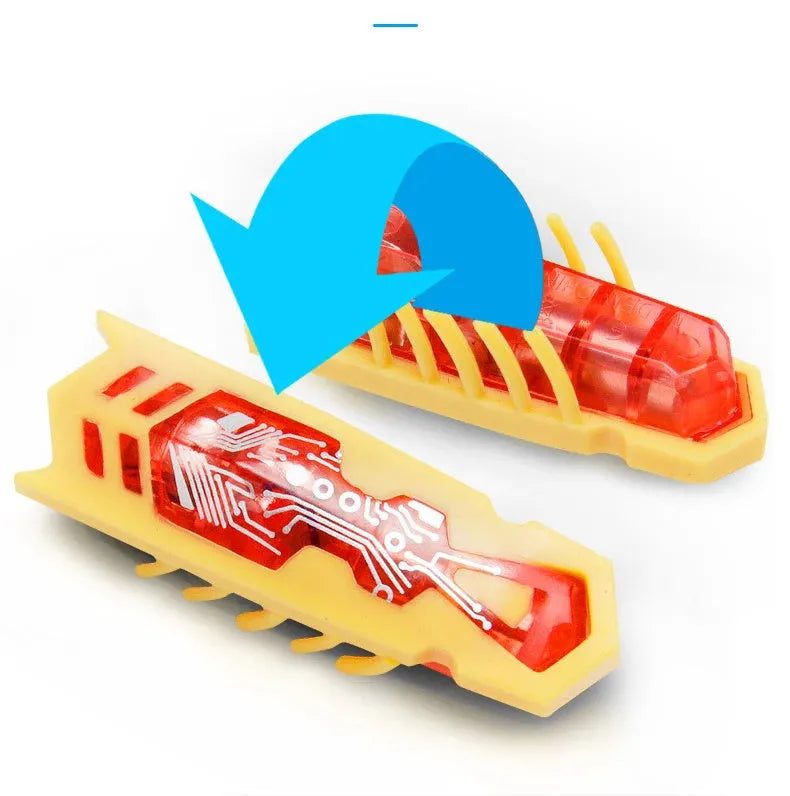 Small motorised insect pet toy in red ladybird design on wooden floor