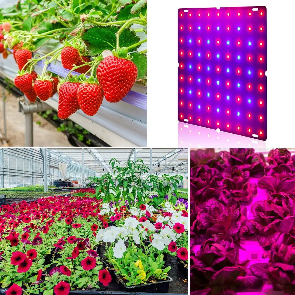 Silver aluminium D-section LED plant grow light with a black hanging hook, for indoor fruits and vegetables.
