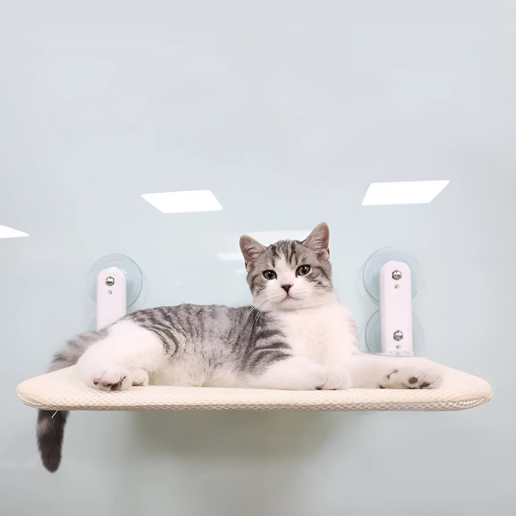 Universal foldable cat hammock seat with stainless steel suction cups mounted on a window