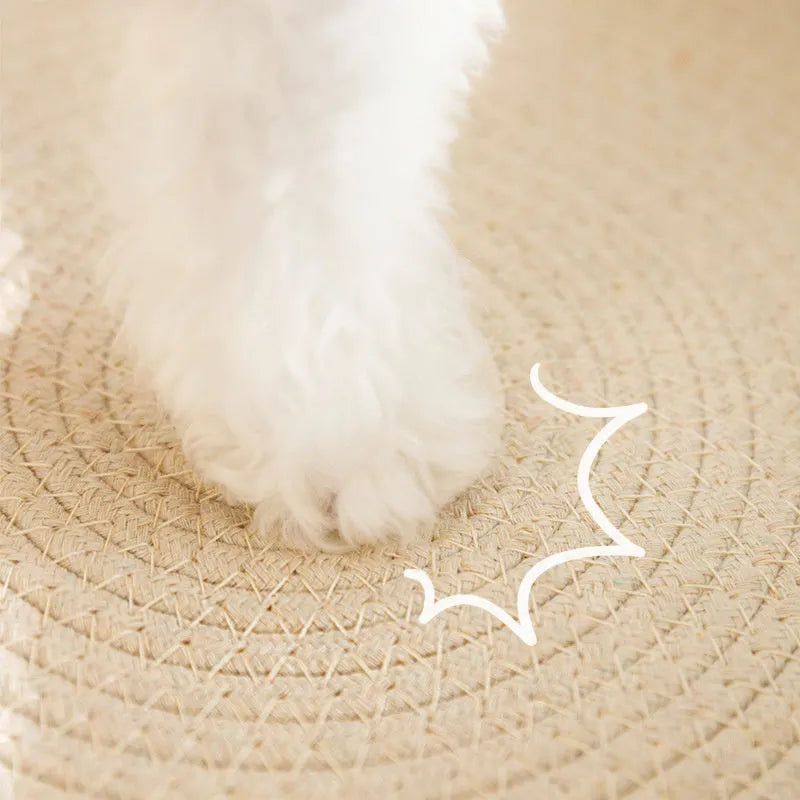 Green oval-shaped cat scratch pad bowl with sisal scratching surface, functioning as a cat bed.