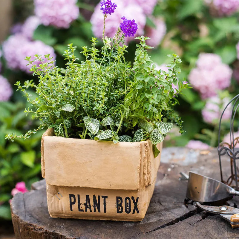 Cement flowerpot with brown paper box texture and bottom drainage holes on a floor.