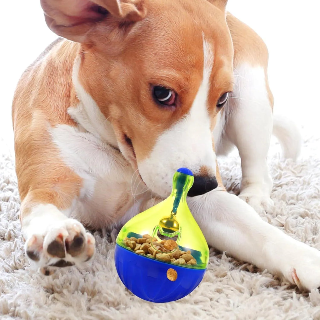 Tumbler-shaped dog and cat treat dispenser ball interactive toy