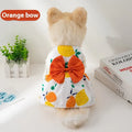 Orange bow floral butterfly pattern polyester dress on a small dog