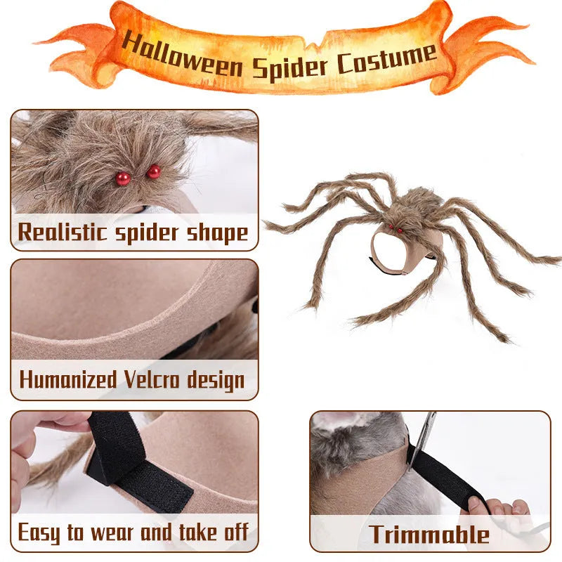 Grey Big Spider Halloween costume worn by a dog, showing the four-legged design and headpiece.