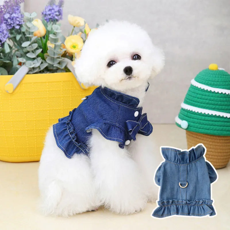 Blue denim dog dress vest with ruffles design and leash hooks on chest and back