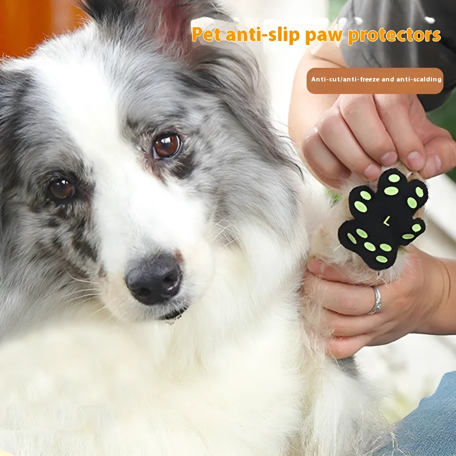 Pack of 8 breathable silicone cloth dog claw protection footstickers in S or M size