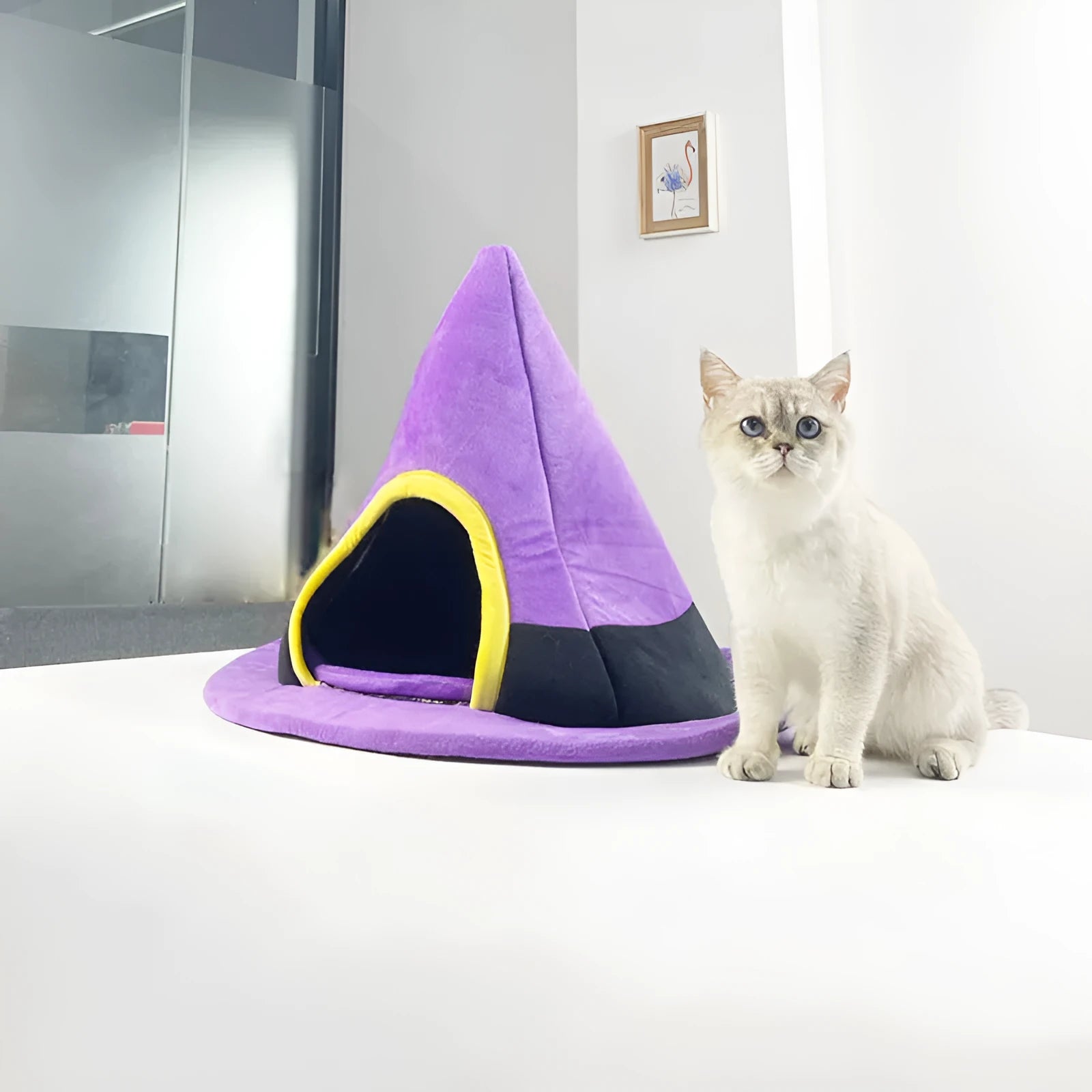 Purple Halloween witch hat shaped cat nest measuring 60x45cm