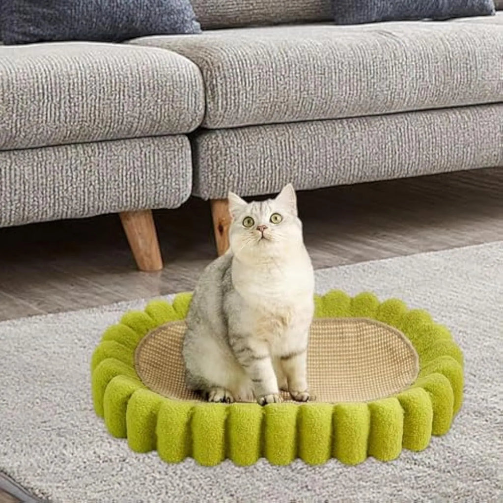 Green oval-shaped cat scratch pad bowl with sisal scratching surface, functioning as a cat bed.
