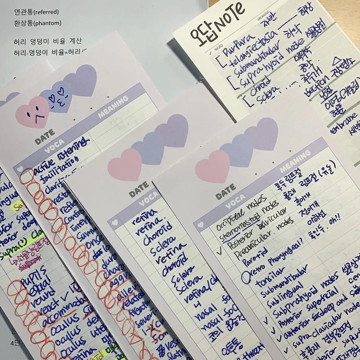 Vertical English learning notepad in half B5 size with double-sided printing and three colour options