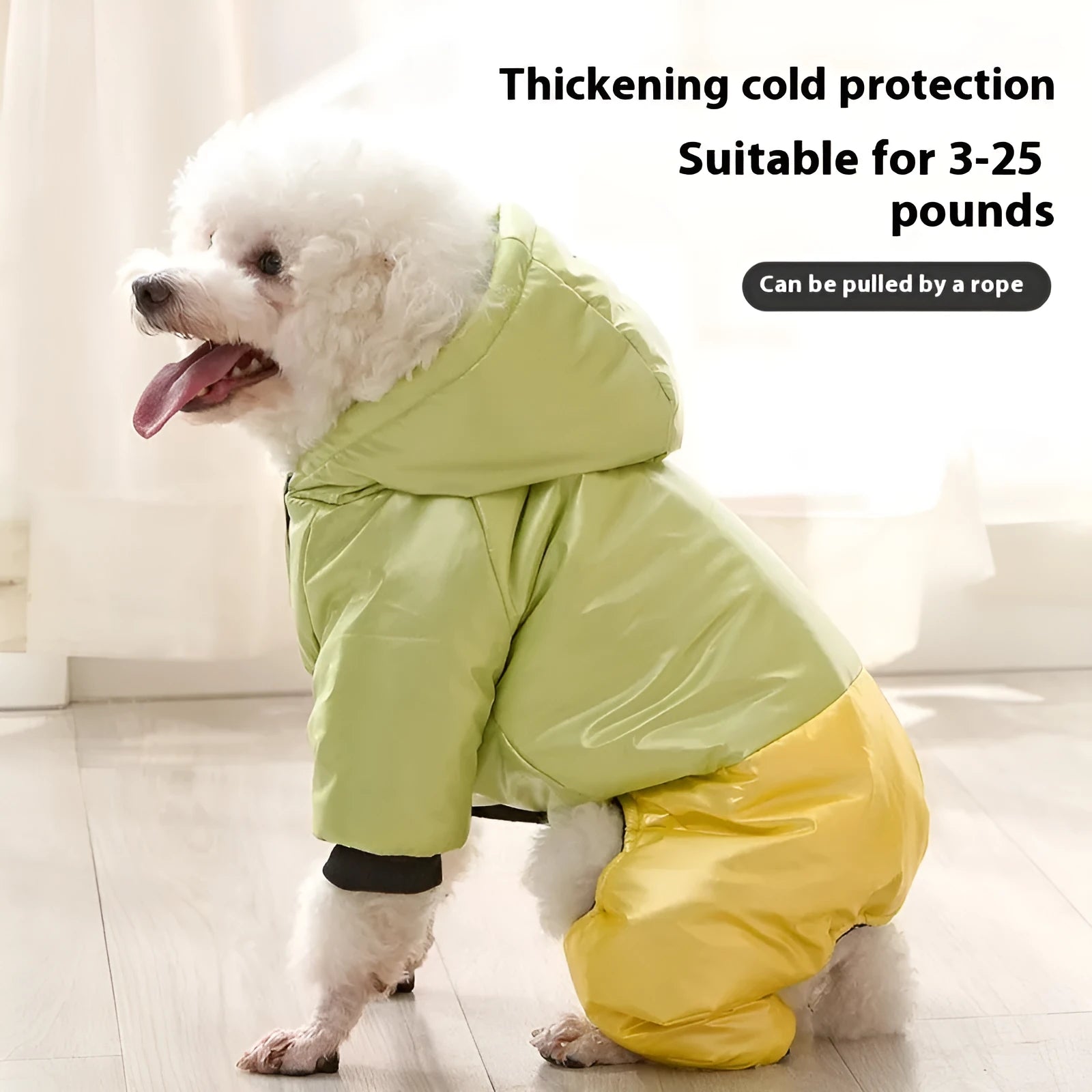 Green waterproof dog coat with cotton padding shown on a dog
