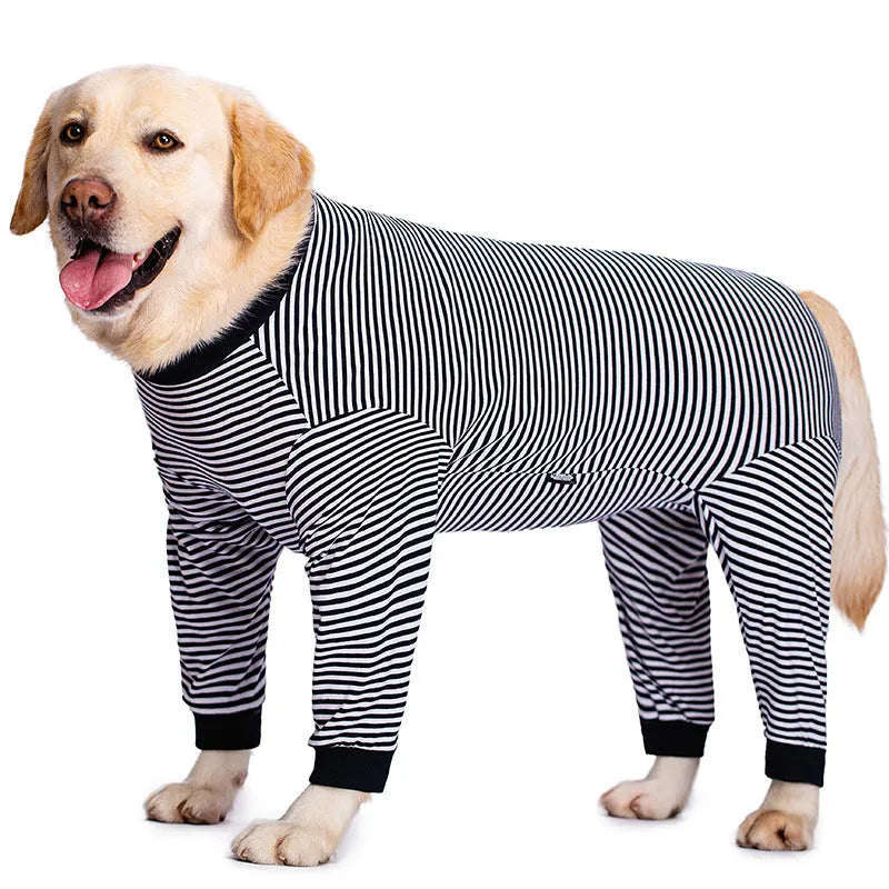 Four-legged striped dog shirt on medium breed dog showing sky blue colour and full leg coverage