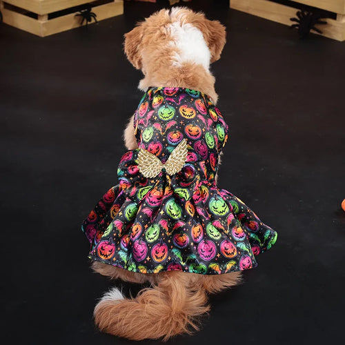 Dog wearing angel wings Halloween costume in bright pumpkin colour with wing attachments
