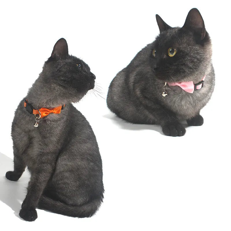 Colourful nylon pet bow collar with bell attachment and adjustable strap for cats