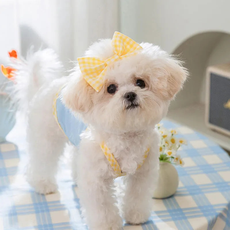 Small dog wearing a blue heart-texture vest with bow suspenders and a matching hairband.