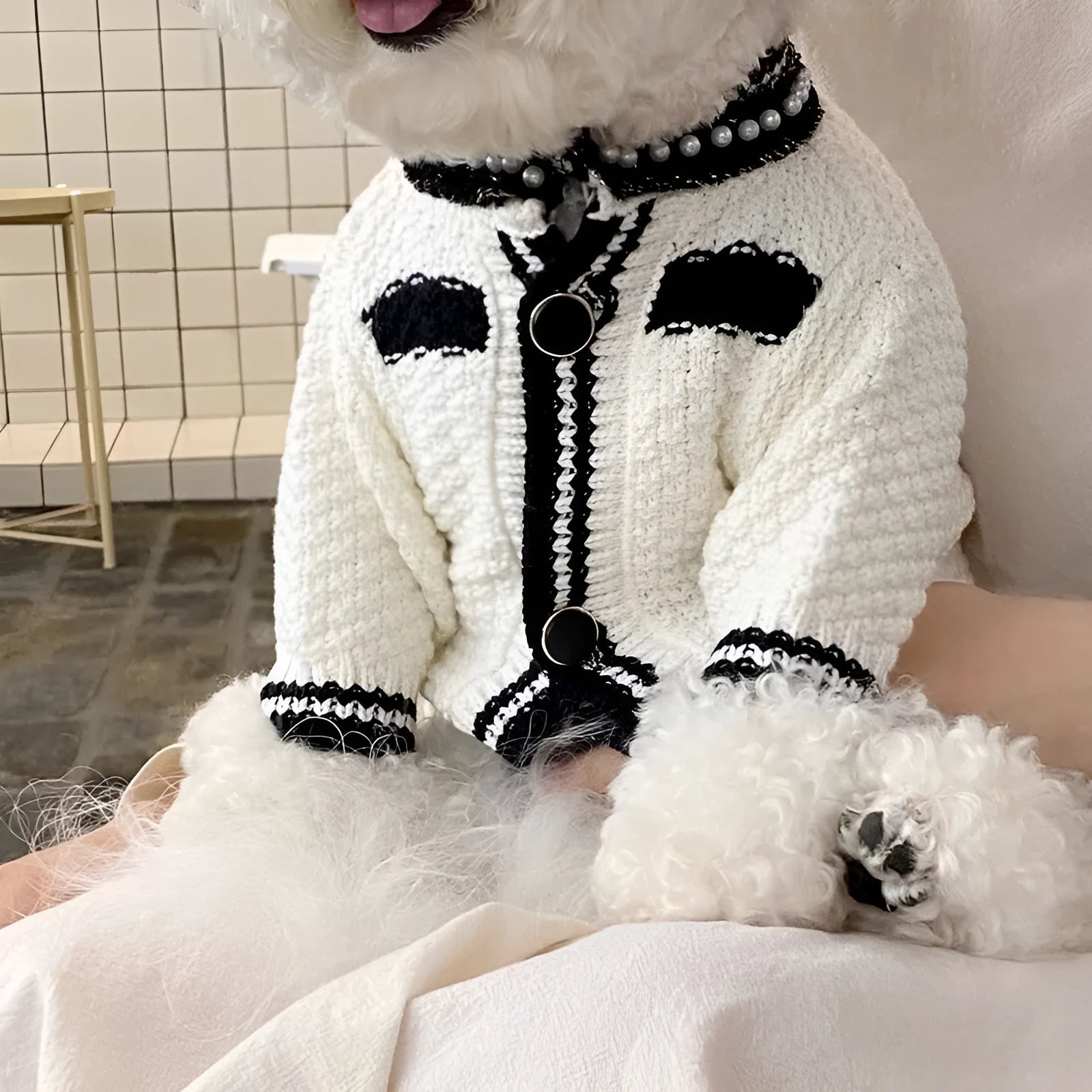 Korean style puppy sweater with pearl collar in black or white colour for small dogs