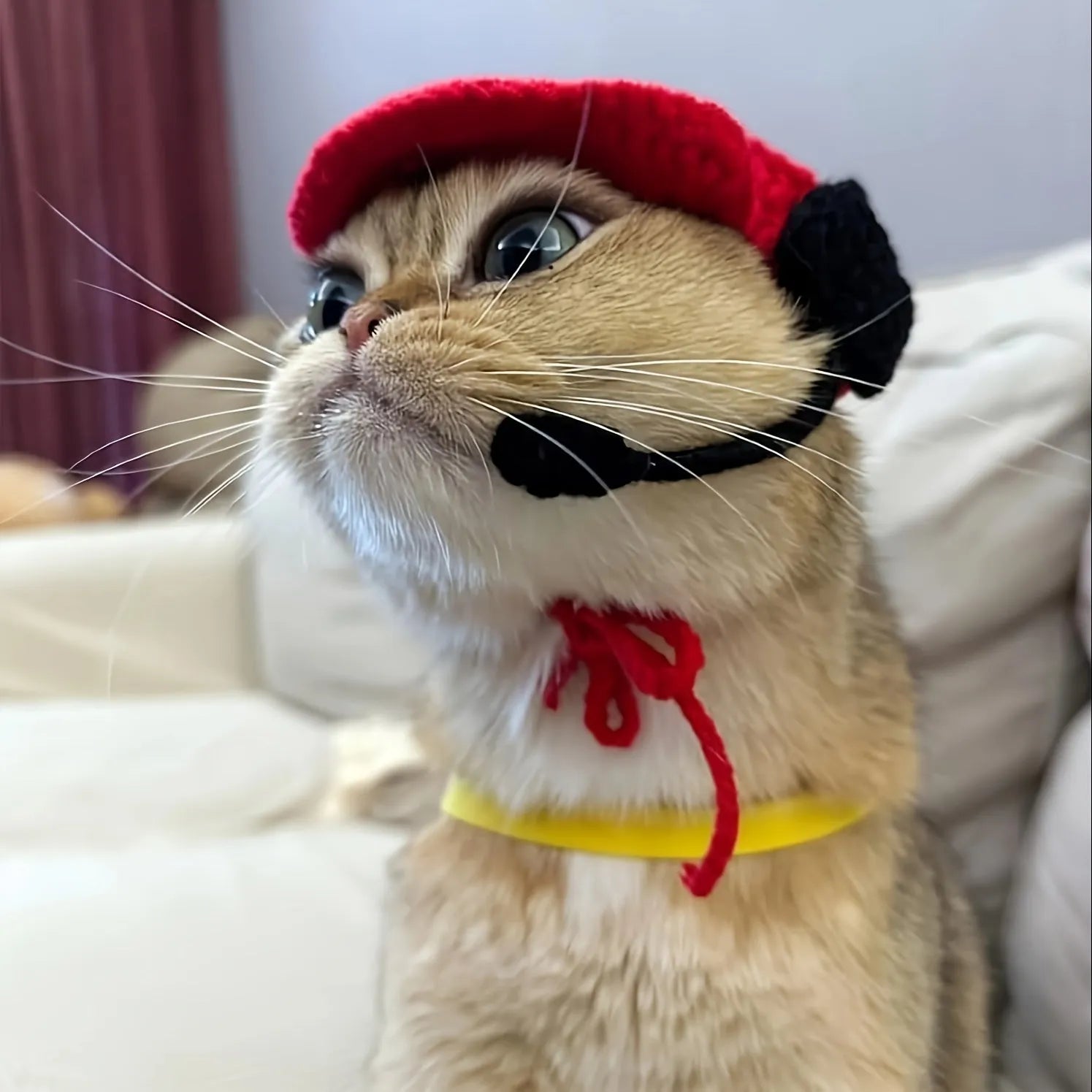 Handmade chef hat and cotton knitted sweater pet costume for small to medium cats and dogs