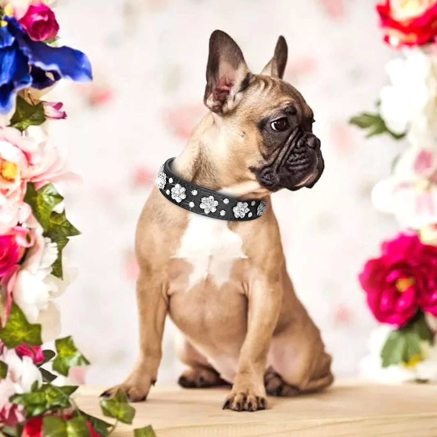 Black PU leather dog collar with silver rhinestone flower pattern and metal D-ring for small dogs.