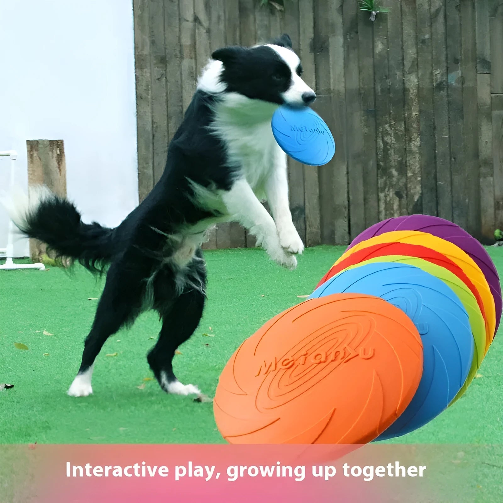 Soft rubber dog frisbee toy for outdoor fetch, shown in three sizes and red, blue, green colour options.