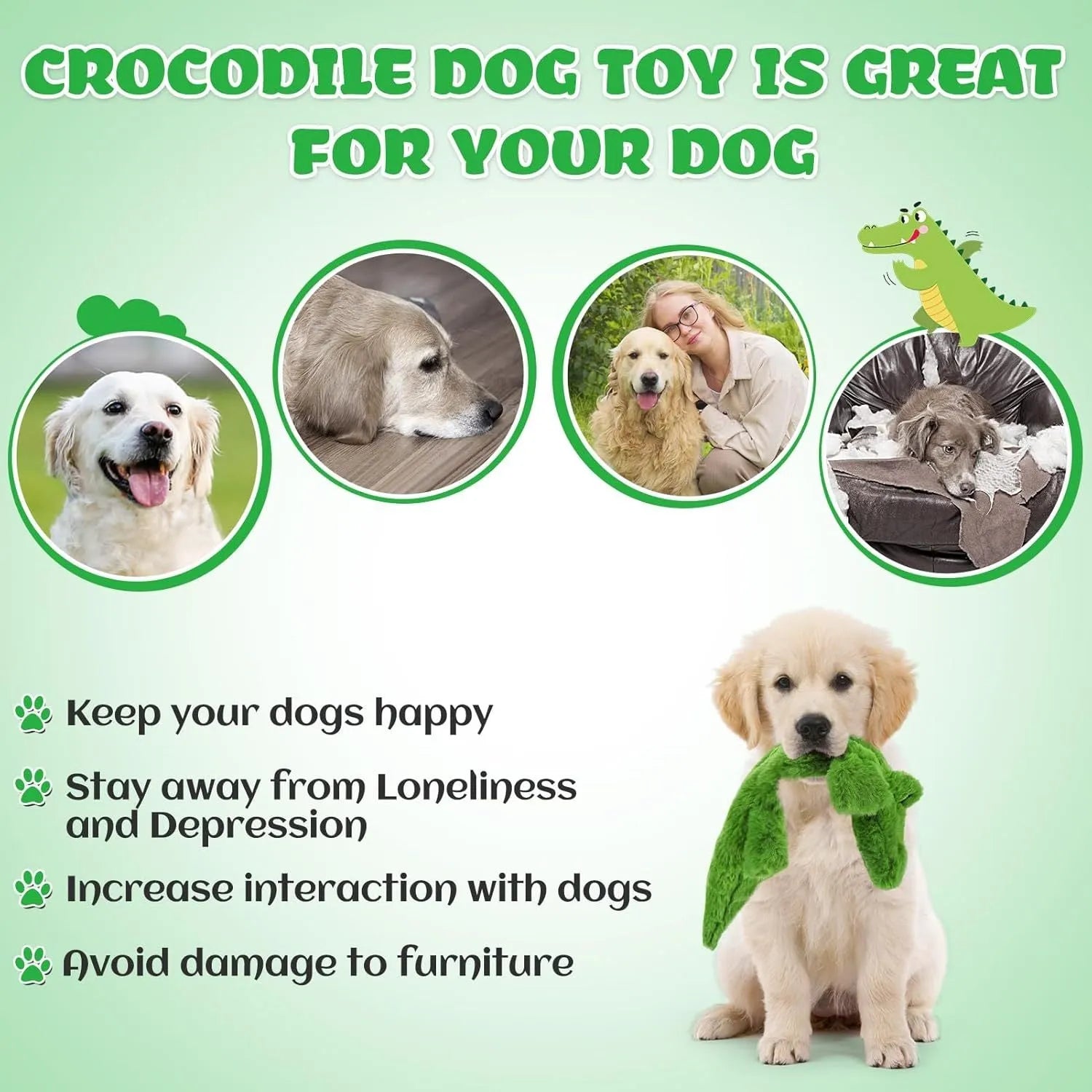 Green crocodile-shaped plush dog toy with no stuffing, squeaker in head, and crinkle paper in tail
