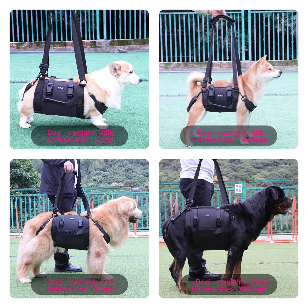 Black adjustable dog harness with leg straps made from Oxford cloth, shown on size chart L, M, XL, XXL.
