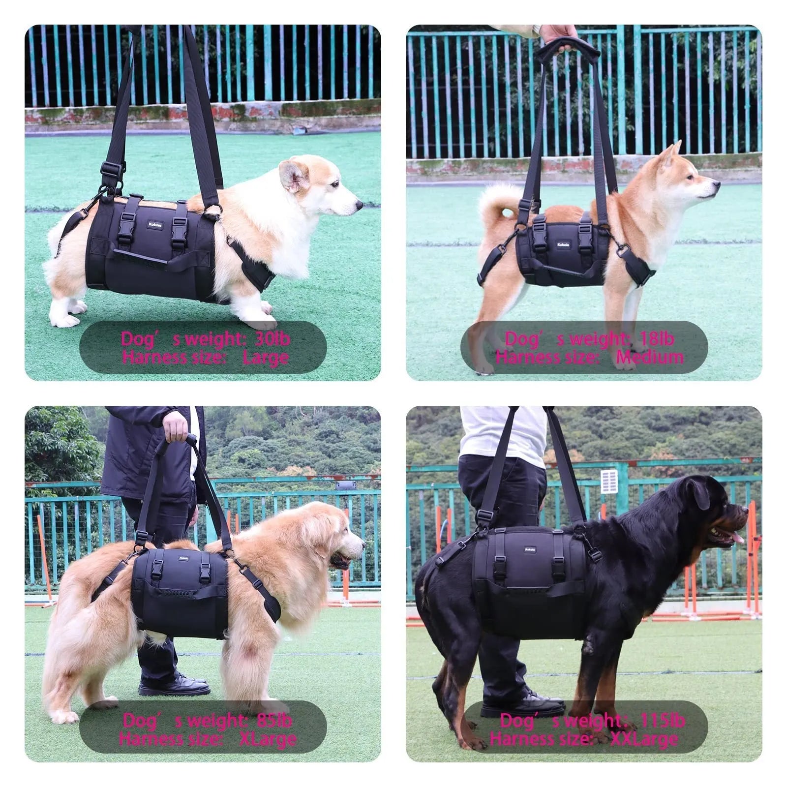 Black adjustable dog harness with leg straps made from Oxford cloth, shown on size chart L, M, XL, XXL.