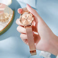 Rose shell alloy women's watch with mesh strap in six dial colour variations