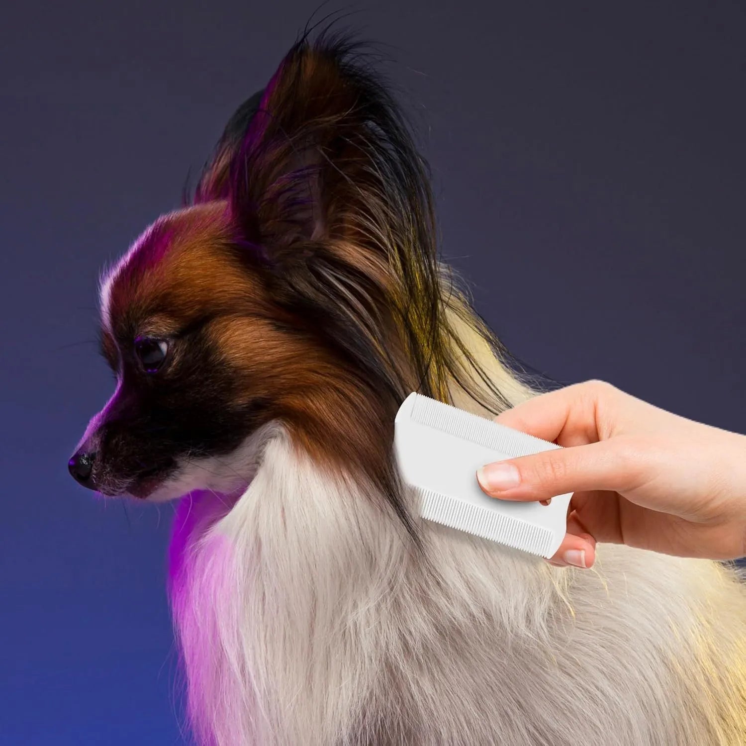 Double-sided plastic flea comb for dog and cat facial grooming showing dense teeth and compact size